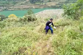 扶贫路上的川邮人 | 从邮件分拣员到山村扶贫兵，爱与坚守让他变成村民最亲的人图片