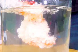 将胶水注入水中会怎样？难得一见的神奇现象，什么原理？视频封面