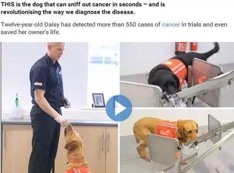 代谢组学——肿瘤研究的利器