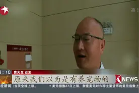 知错就改！“熊孩子”电梯里撒尿 事后道歉并将打扫电梯一个月视频封面