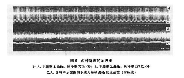 动物也有方言吗？河南蝼蛄和北京蝼蛄给出了答案