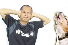 小狗关笼子总是吠叫，教你一招瞬间停止吠叫，效果不是一般的好视频封面