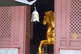 「文化心旅与你相约」金马寺内追寻东骧神骏的踪影图片