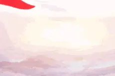 优·秀｜雏菊的花语：隐藏的爱图片