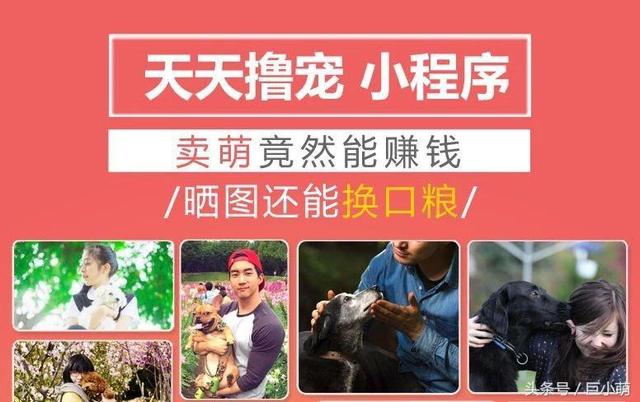 �����ġ�������������ȳ��Լ�׬��Ǯ