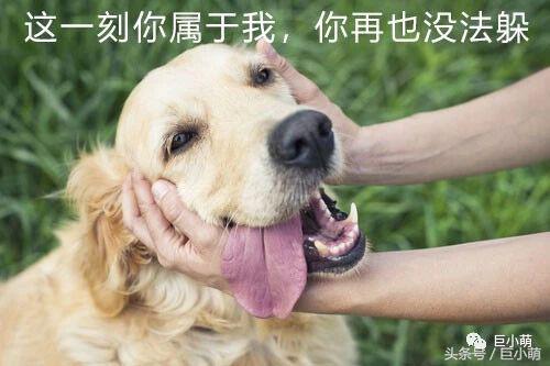 �����ġ�������������ȳ��Լ�׬��Ǯ