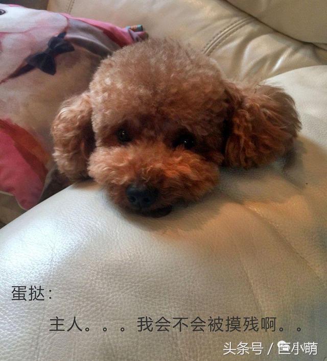 �����ġ�������������ȳ��Լ�׬��Ǯ