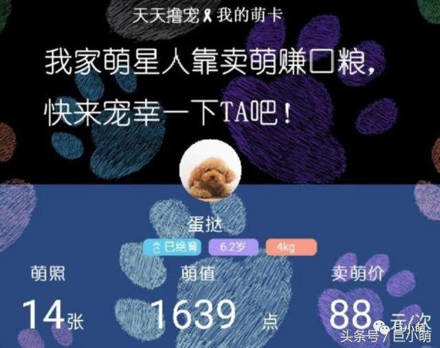 �����ġ�������������ȳ��Լ�׬��Ǯ