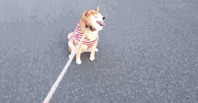 �����ġ�������������ȳ��Լ�׬��Ǯ