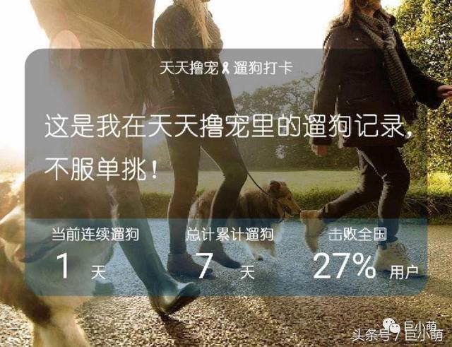 �����ġ�������������ȳ��Լ�׬��Ǯ