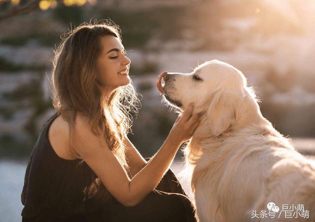 真正的“共享宠物”,让萌宠自己赚大钱