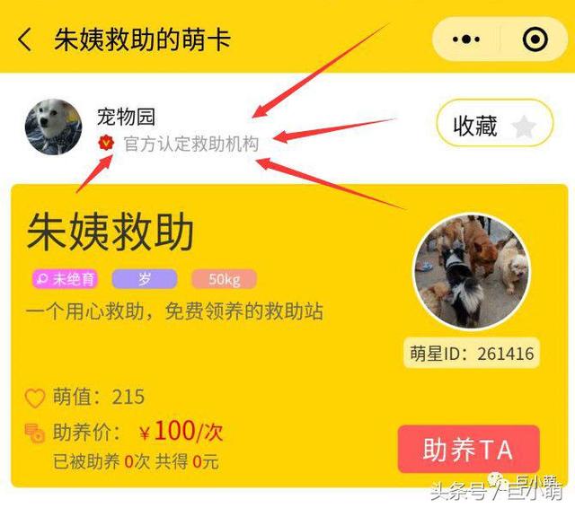 �����ġ�������������ȳ��Լ�׬��Ǯ