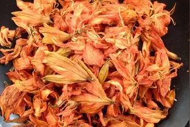 花茶小知识，平时常喝百合花茶有很多好处，尤其是这几点视频封面