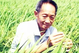 身价过亿的袁隆平：我有五六辆“豪车”，看完却心酸了！视频封面