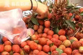男童吃荔枝后上吐下泻进医院 检查发现竟患上胃肠炎图片