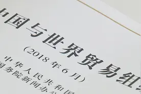 刘和平：美国退出WTO是全球经济面临的最大风险视频封面