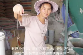 农村女子80斤饲料，一手搬起来，猪一天吃一千多斤饲料视频封面