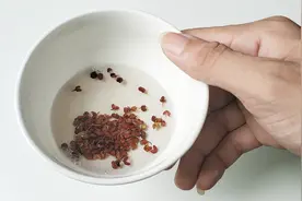 花椒和白酒，作用厉害了，解决了家家户户的烦恼，简单又实用视频封面