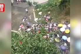 成都：大树被暴风雨刮倒后压到老师 女大学生喊号子抬树救人视频封面