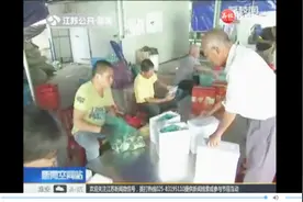 中国螃蟹交易平台在苏州成立视频封面