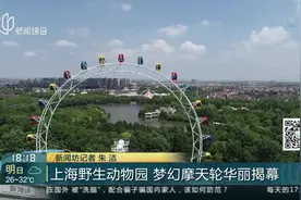 上海野生动物园 梦幻摩天轮华丽揭幕 俯瞰整个野生动物园！视频封面