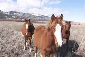 78年的属马人，7月处于财富制高点，从此享受人生吧！