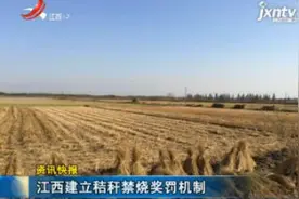 江西建立秸秆禁烧奖罚机制视频封面