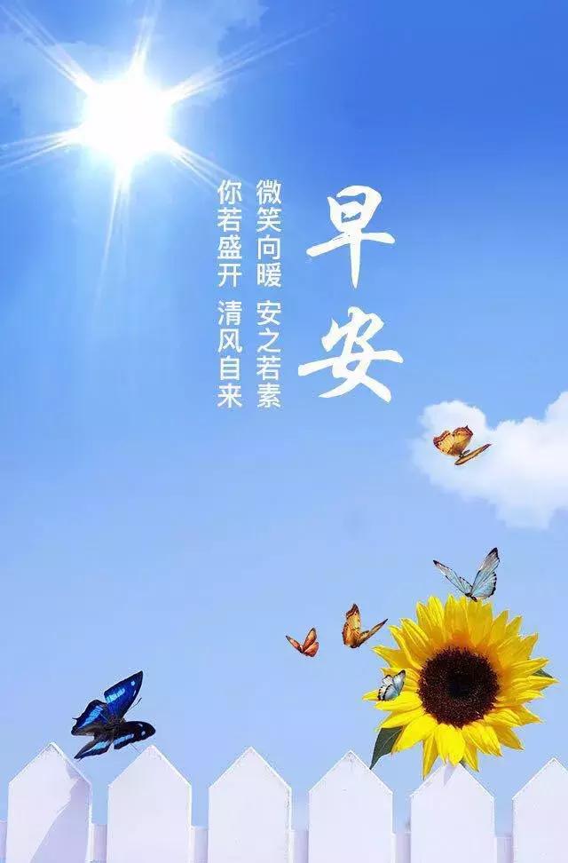朋友圈最全最美早安片大全 早安阳光正能量语录
