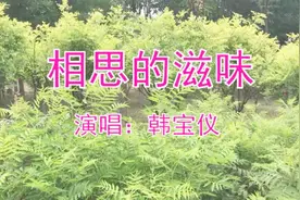 韩宝仪一首《相思的滋味》甜美好听，永久珍藏视频封面