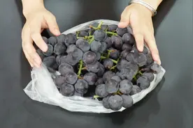 葡萄好吃难剥皮，教你一个小妙招，快速剥葡萄皮还不流汁