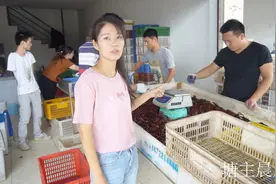 塘主晨晨 实拍小龙虾是如何从原产地发往全国各地的 一路领“鲜”视频封面