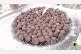 荔枝烤干后，叫什么名字？第一次知道还有这种吃法，拍于海南