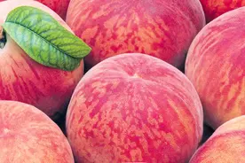 教你一招怎样快速去桃子皮，值得收藏哦！视频封面