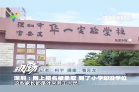 深圳：网上报名被录取，到了小学却没学位