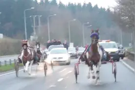 马和汽车赛跑，哪个快？视频封面