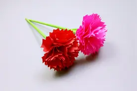 简单漂亮的康乃馨折纸，亲手折几朵送妈妈最好的礼物，diy教程视频封面