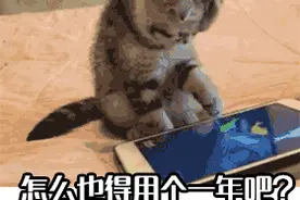 苹果8P用4个月无法充电，直营店要价3000元换新机，维修店却说50就行图片