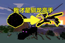 我的世界 Minecraft 如何驯化末影龙？一起来体验龙骑士的感觉吧