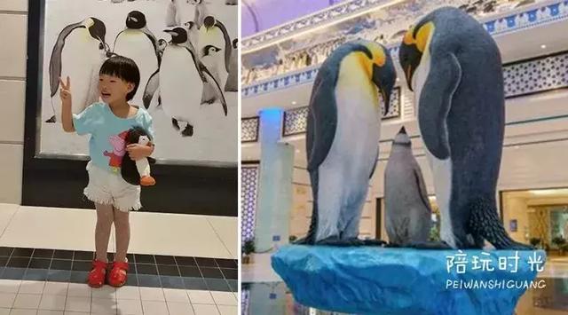 不远还不贵,带娃去长隆这样玩超嗨