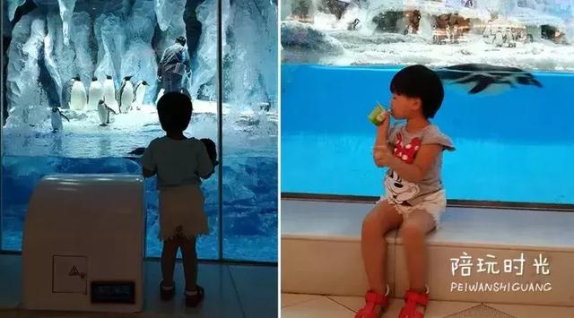 不远还不贵,带娃去长隆这样玩超嗨