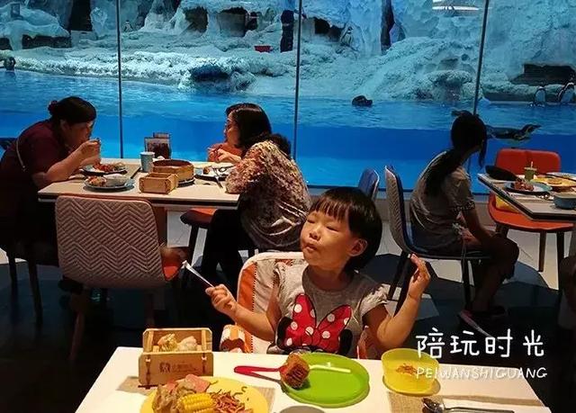 不远还不贵,带娃去长隆这样玩超嗨