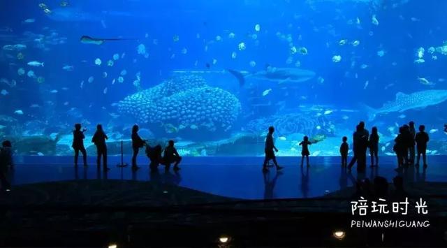 不远还不贵,带娃去长隆这样玩超嗨