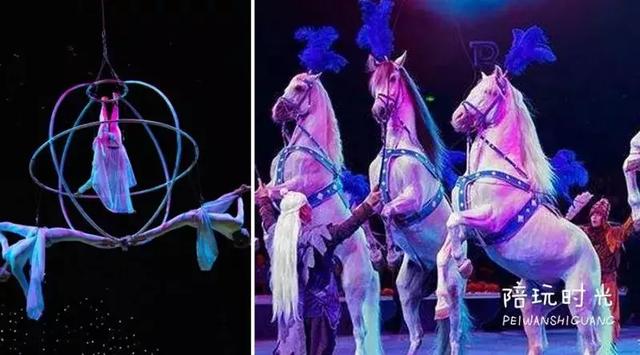 不远还不贵,带娃去长隆这样玩超嗨