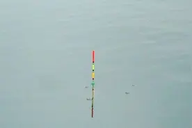 为什么浮漂是先上顶一些，再出现顿口，原来是这样视频封面