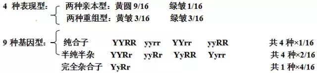 高中生物遗传因子的发现知识点汇总