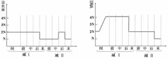 楂樹腑鐢熺墿閬椾紶鍥犲瓙鐨勫彂鐜扮煡璇嗙偣姹囨€? onerror=