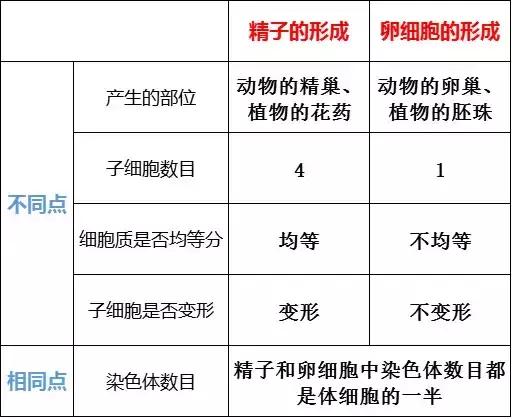 楂樹腑鐢熺墿閬椾紶鍥犲瓙鐨勫彂鐜扮煡璇嗙偣姹囨€? onerror=