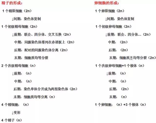 高中生物遗传因子的发现知识点汇总