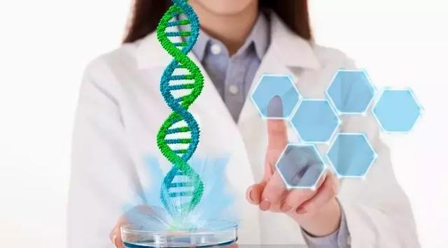 高中生物遗传因子的发现知识点汇总