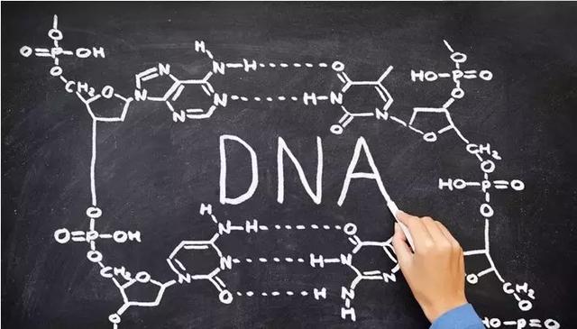 楂樹腑鐢熺墿閬椾紶鍥犲瓙鐨勫彂鐜扮煡璇嗙偣姹囨€? onerror=